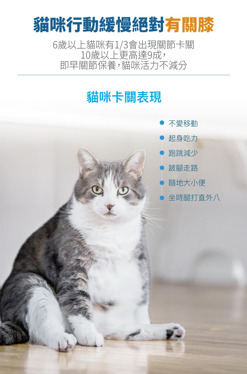 貓有關膝詳情頁_設計_2