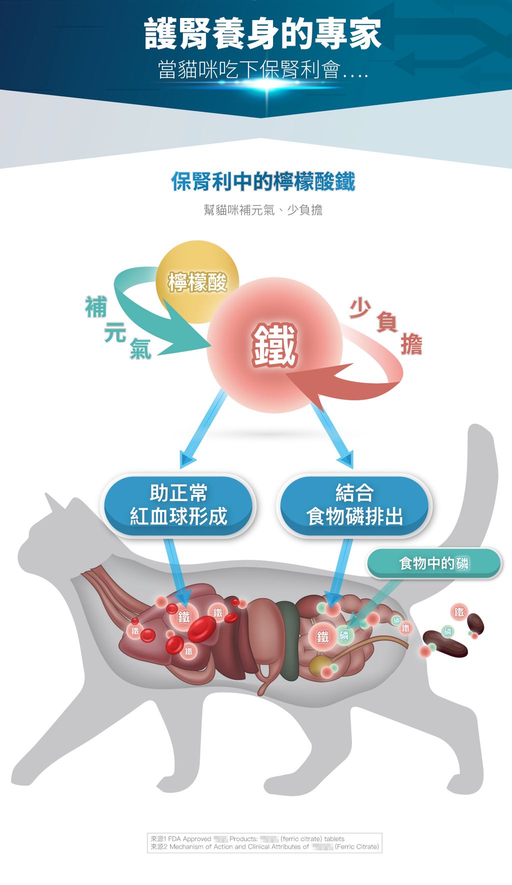 保腎利詳情頁_設計_8