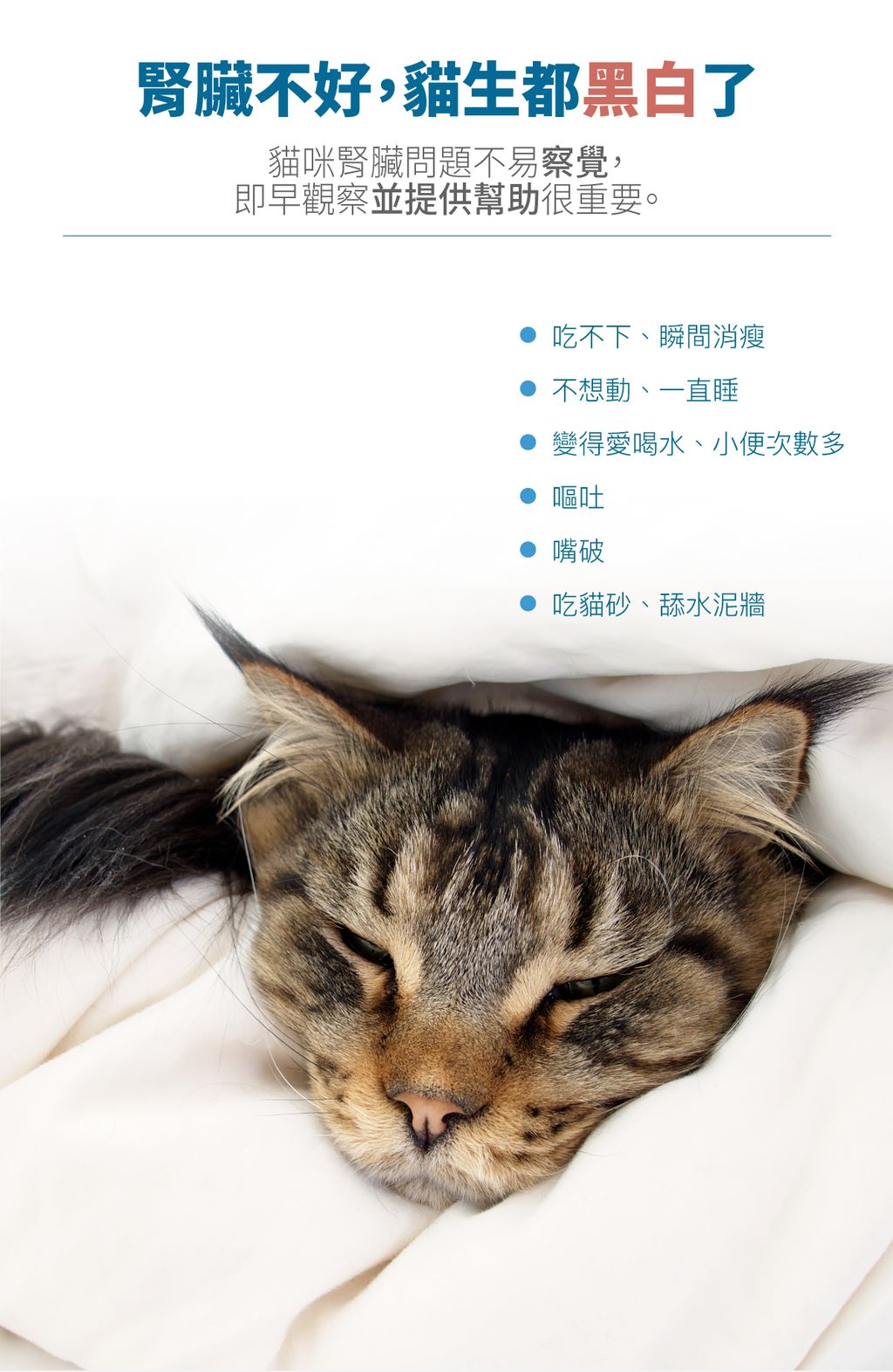 保腎利詳情頁_設計_2