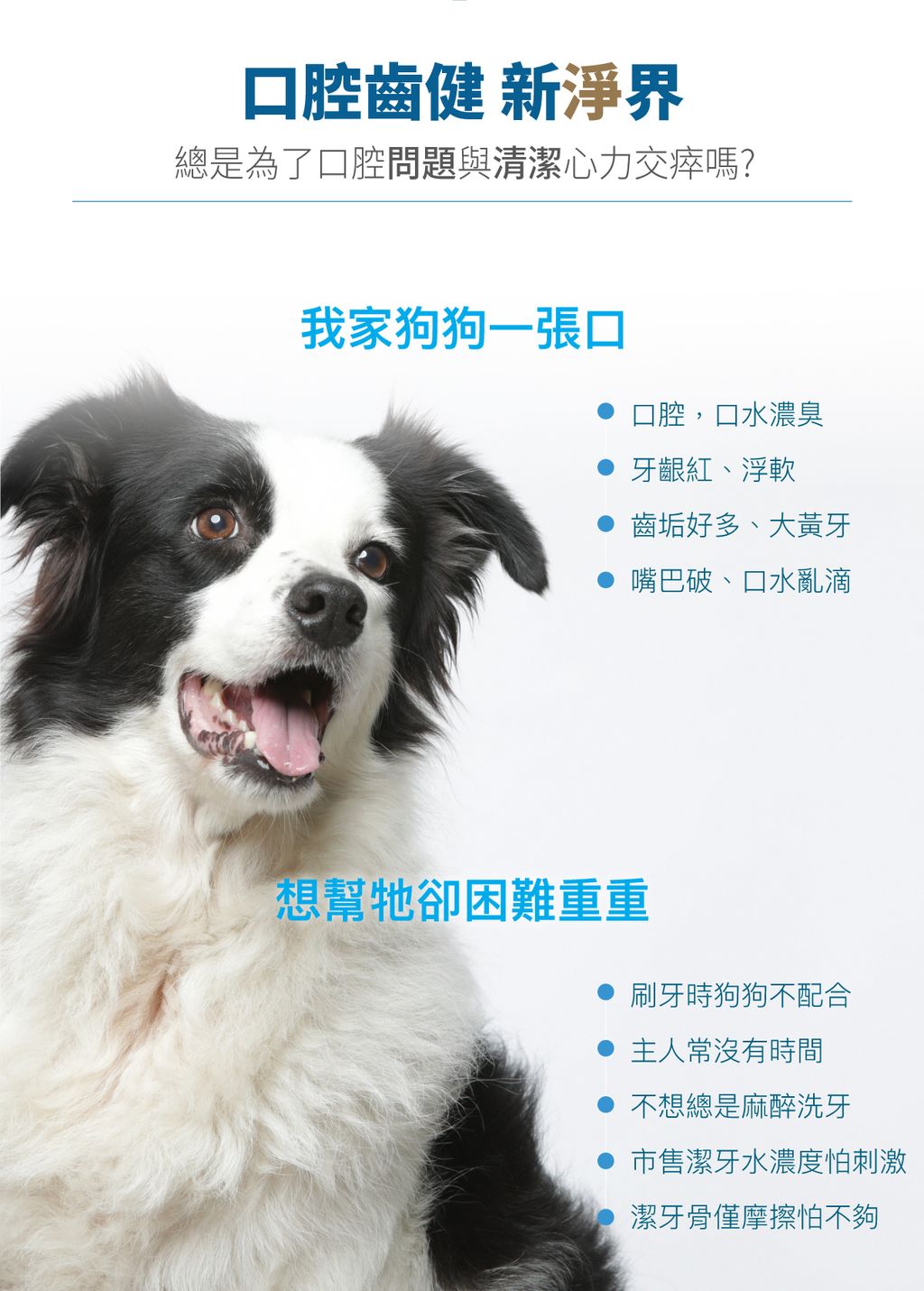 犬固齒麗口滴劑詳情頁_設計_2
