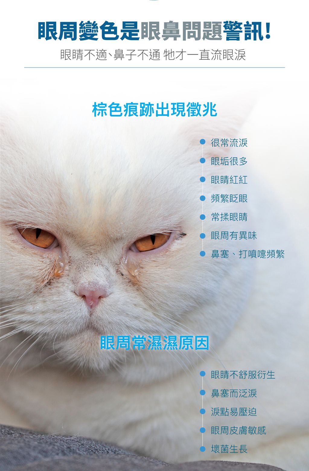 貓痕淨白詳情頁_設計_2