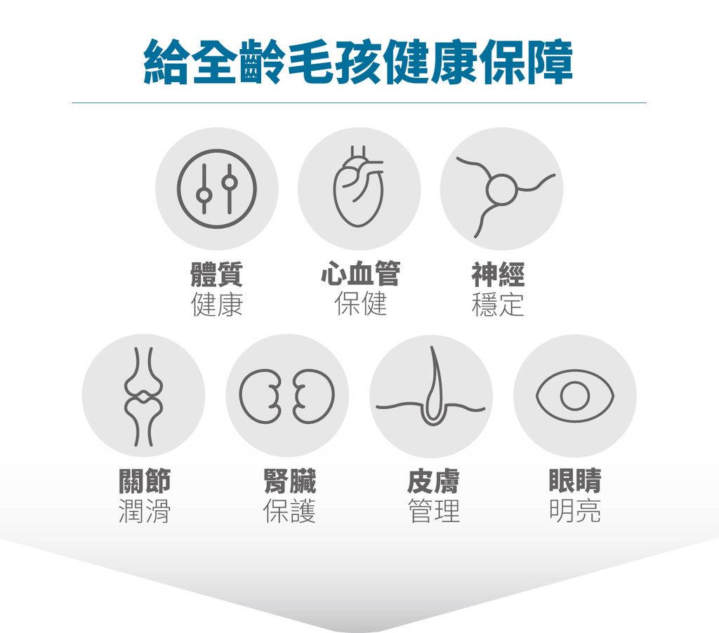 高EPA寵物魚油_設計_7