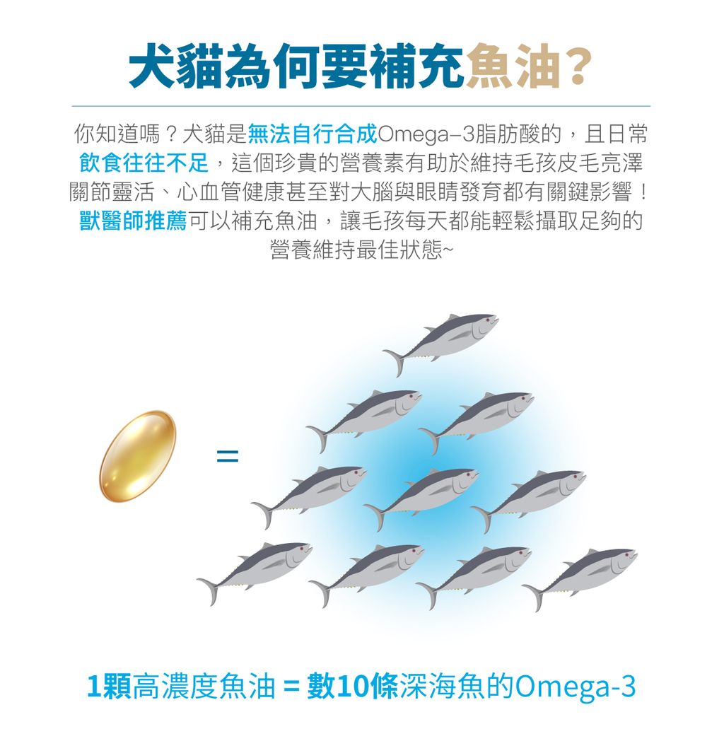 高EPA寵物魚油_設計_3