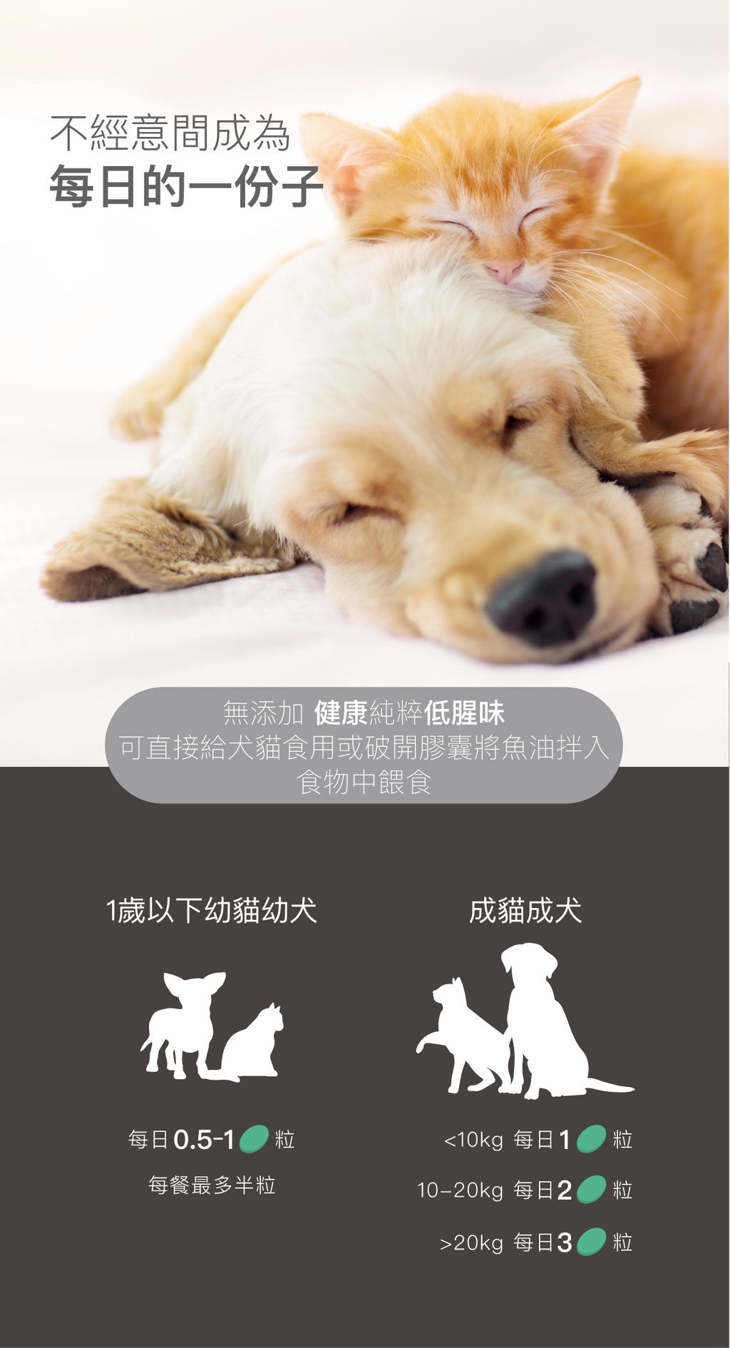 高EPA寵物魚油_設計_18