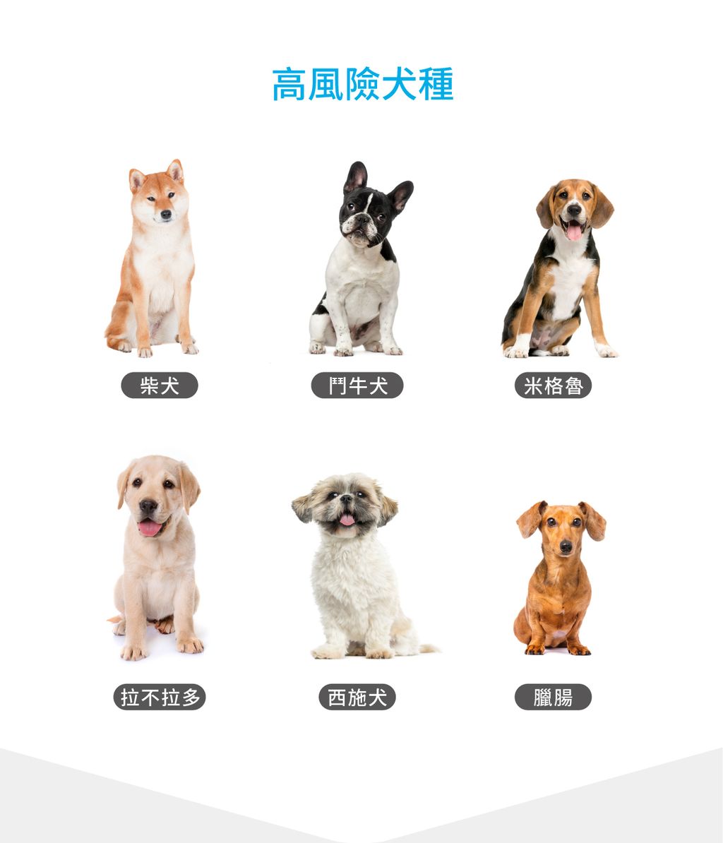 犬膚立好詳情頁_設計_3