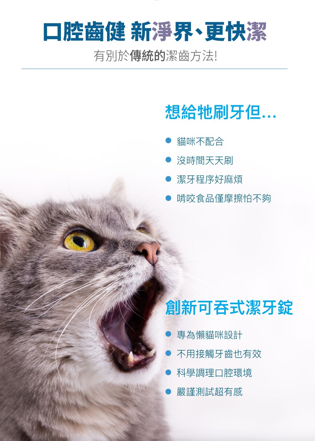 貓固齒麗潔牙錠詳情頁_設計_2