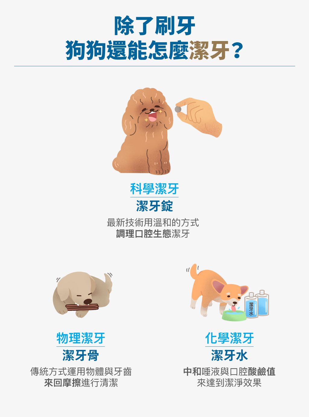 犬固齒麗潔牙錠詳情頁_設計_3