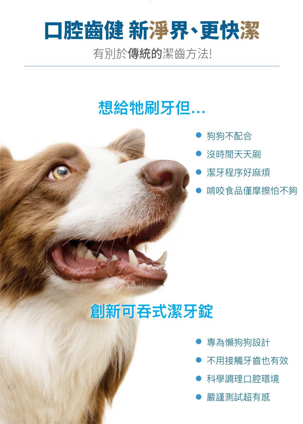 犬固齒麗潔牙錠詳情頁_設計_2