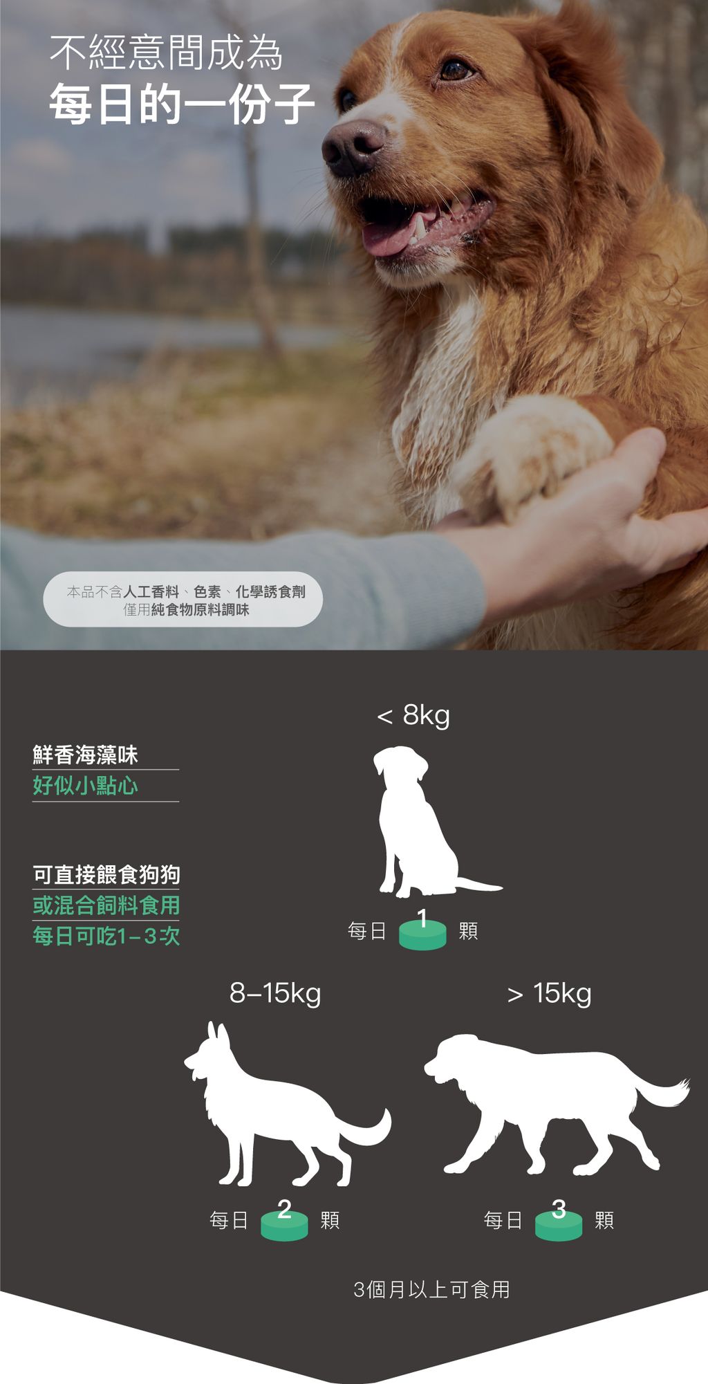 犬固齒麗潔牙錠詳情頁_設計_15