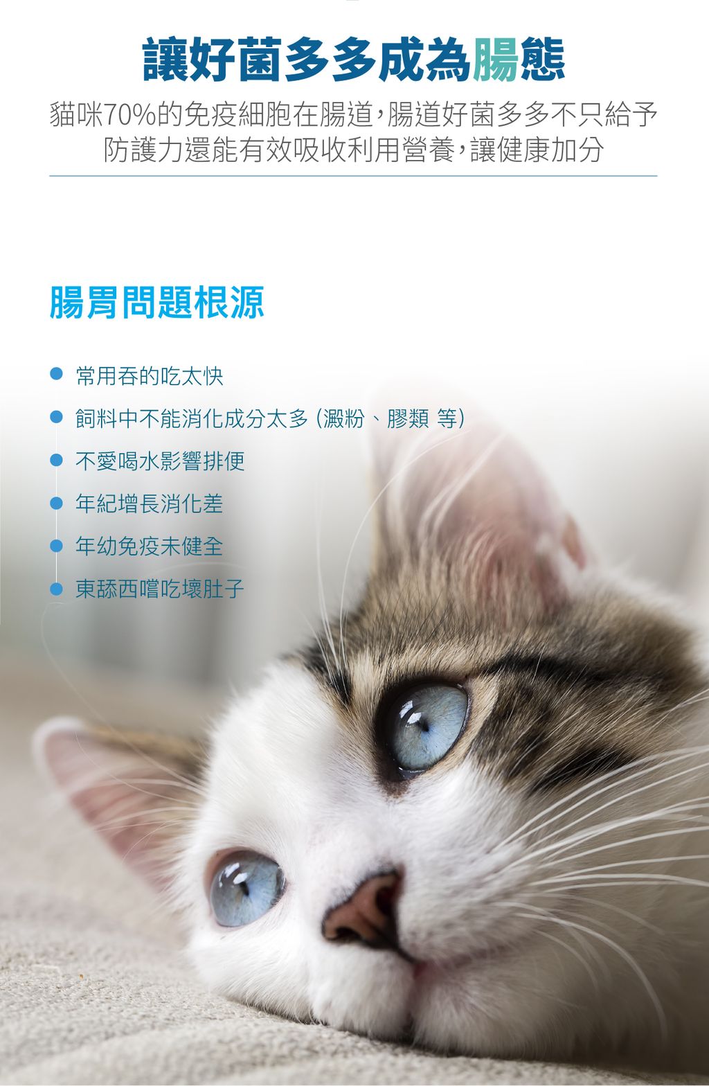 活菌寶詳情頁_設計_2