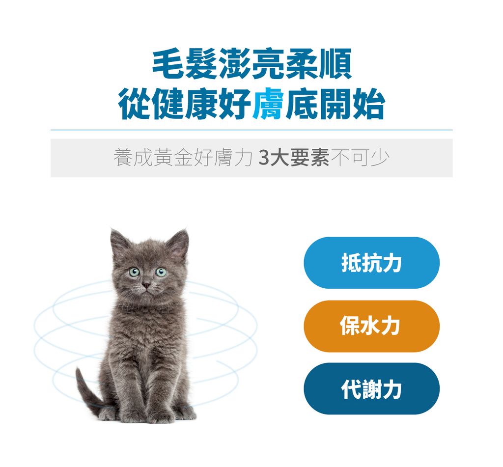 貓膚立好詳情頁_設計_6