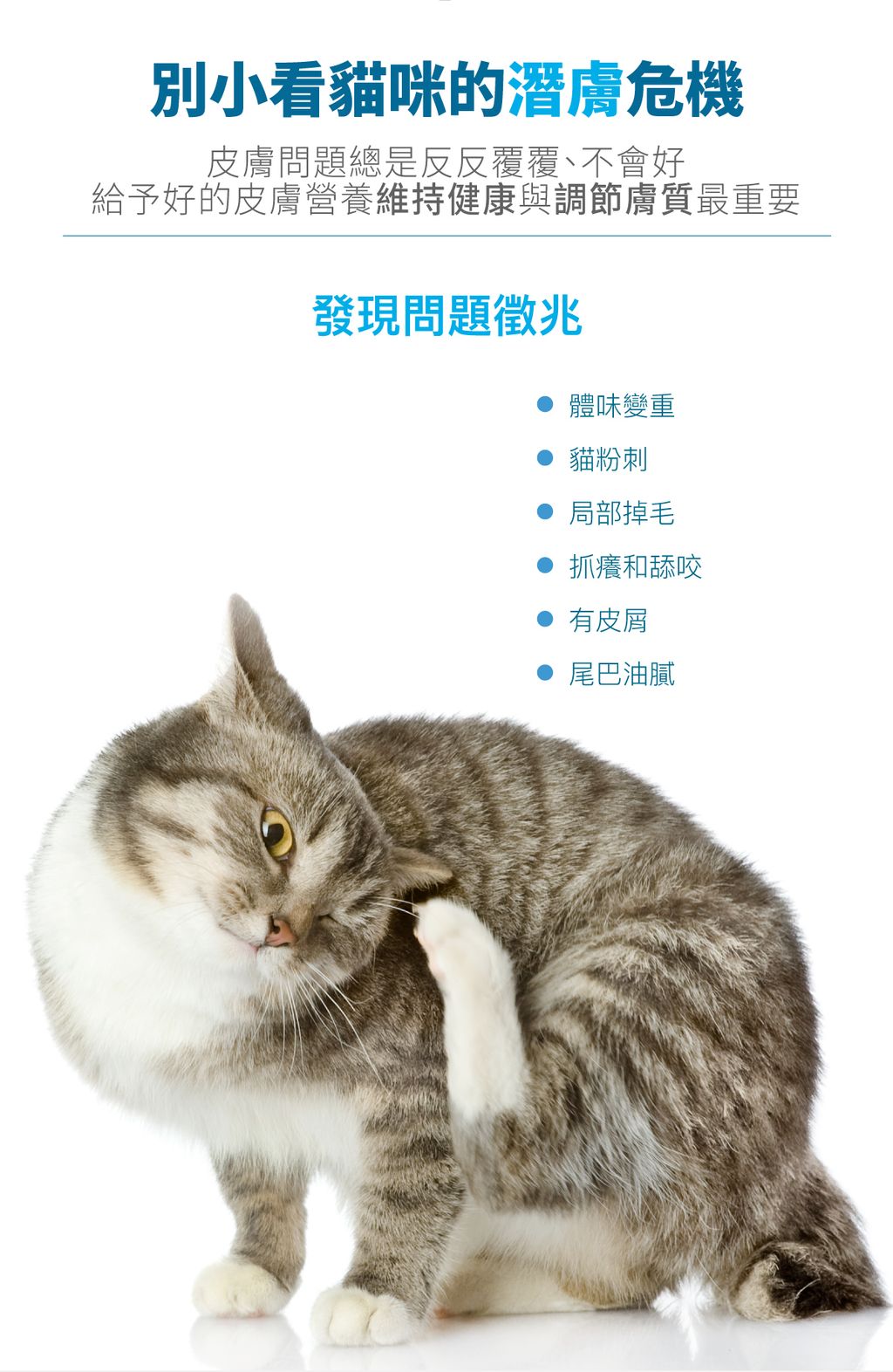 貓膚立好詳情頁_設計_2