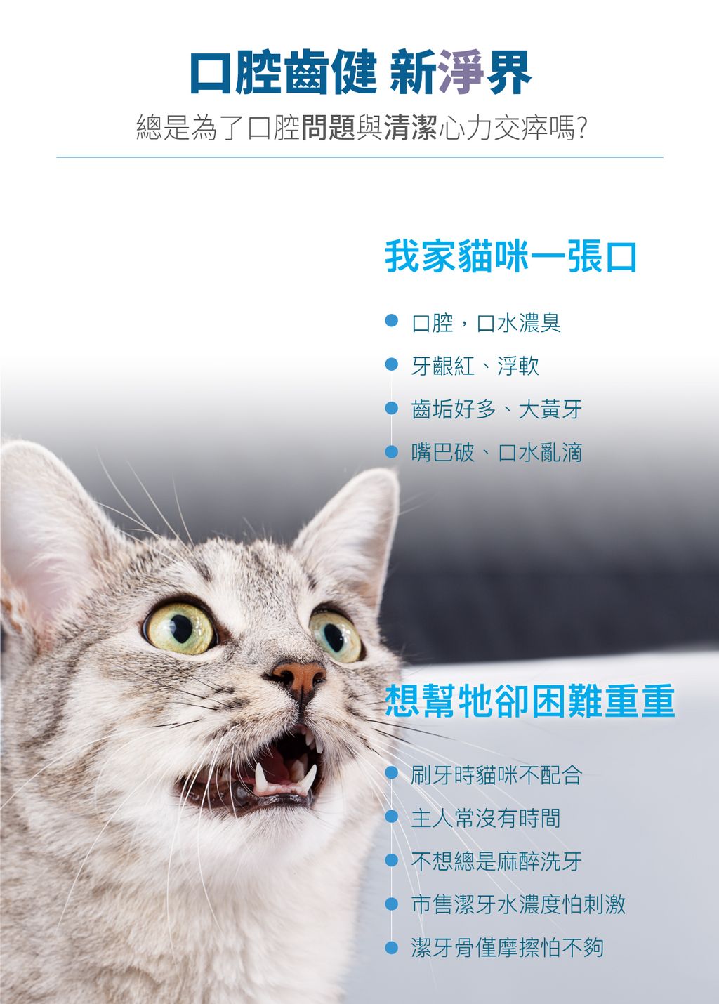 貓固齒麗口滴劑詳情頁_設計_2