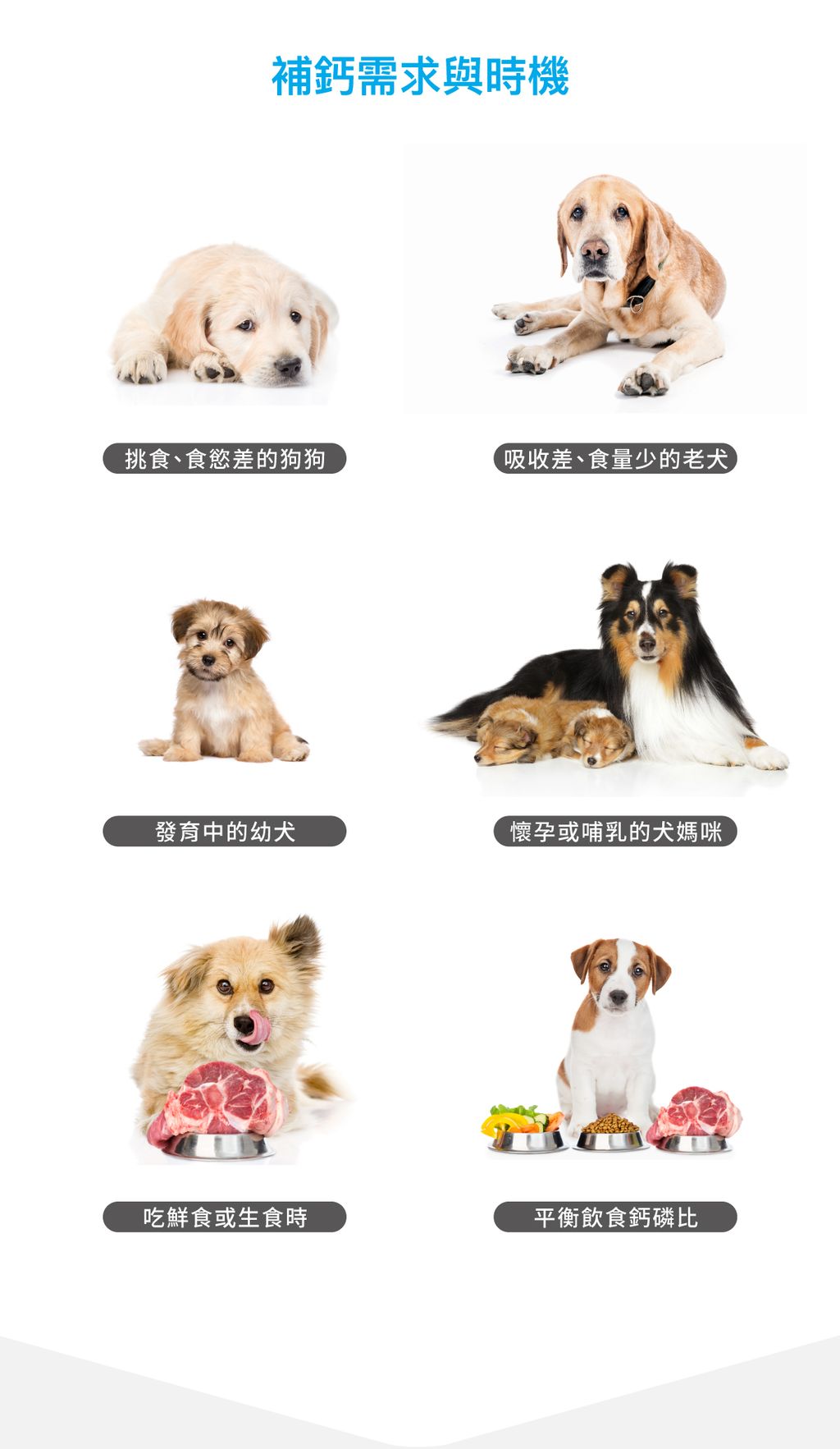 犬D藻鈣詳情頁_設計_3