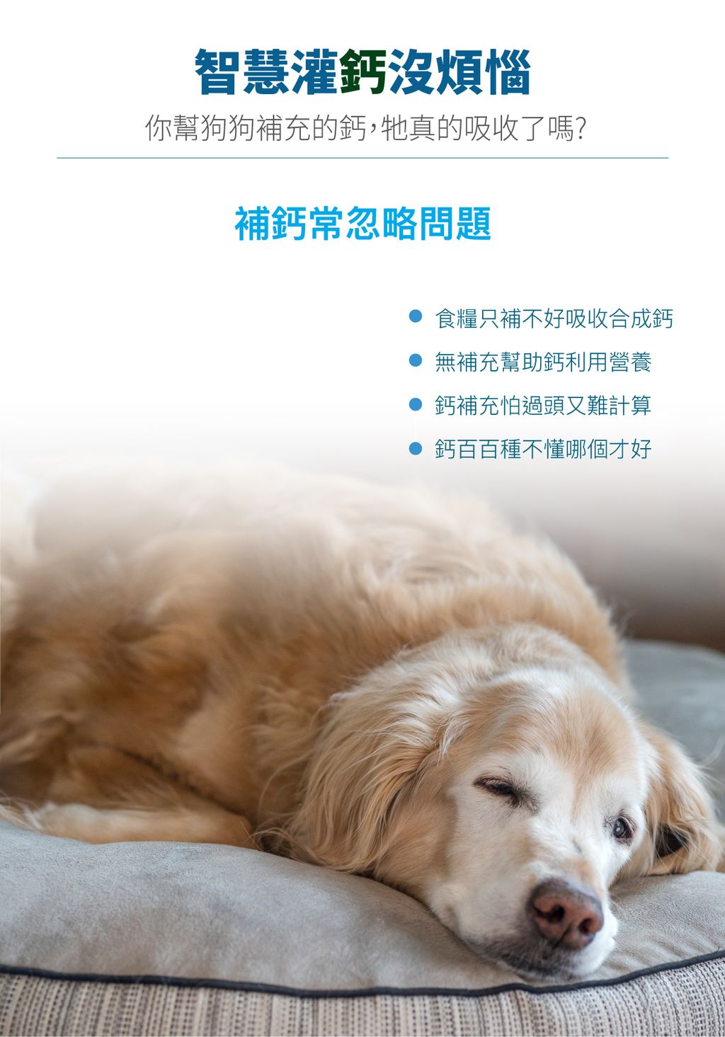 犬D藻鈣詳情頁_設計_2