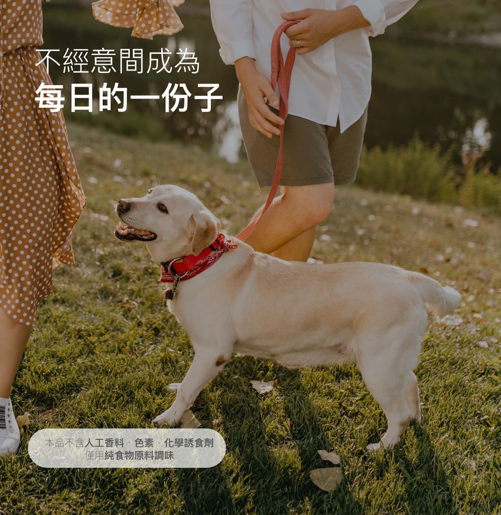 犬D藻鈣詳情頁_設計_13