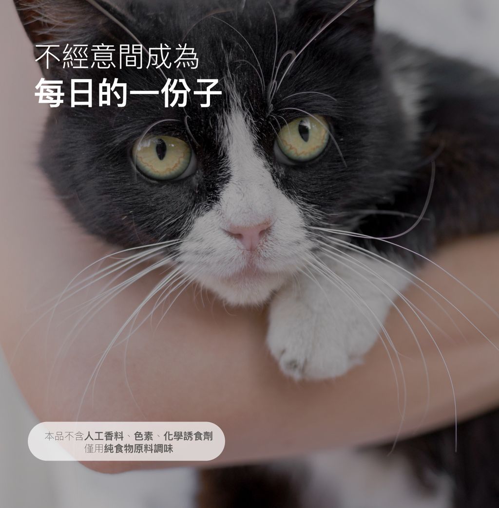 貓D藻鈣詳情頁_設計_14