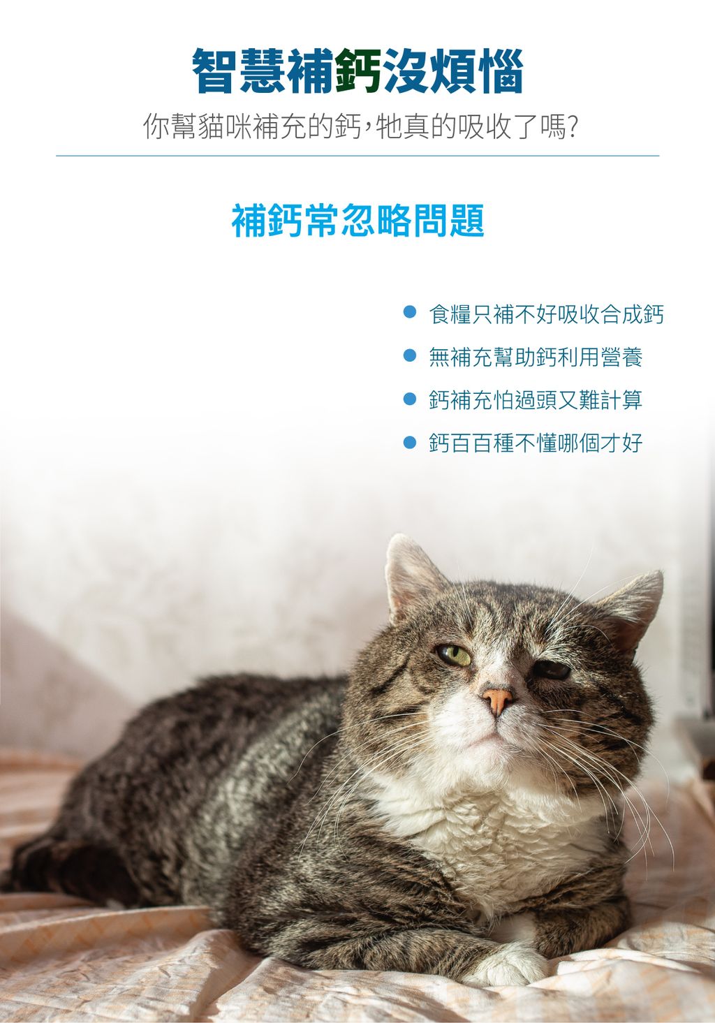 貓D藻鈣詳情頁_設計_2