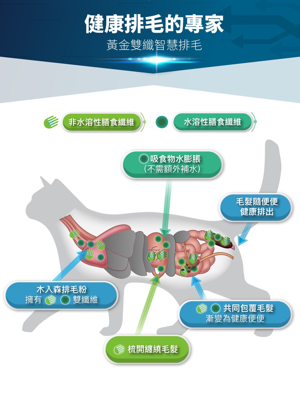 排毛粉產品頁面_設計_10