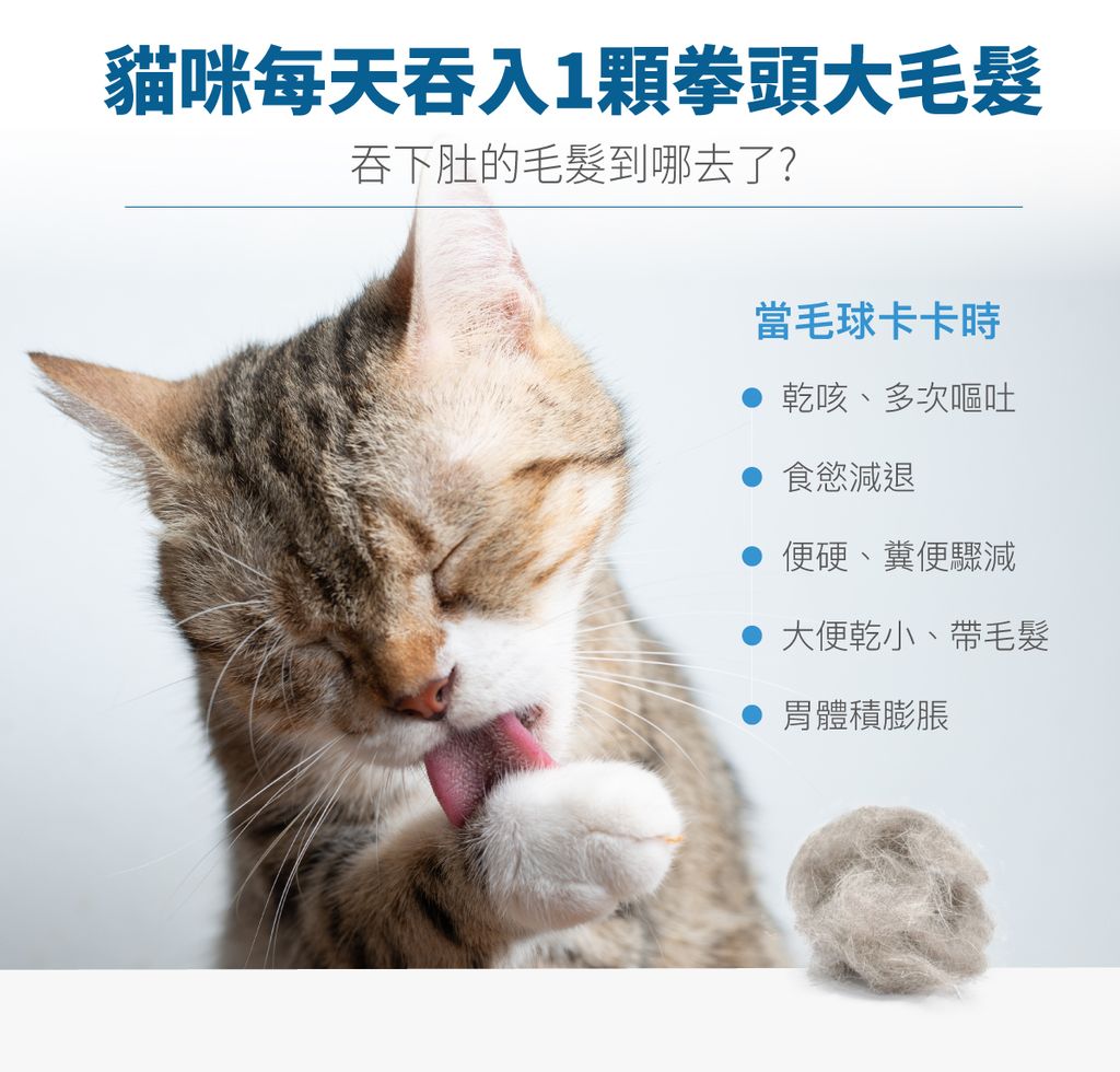 排毛粉產品頁面_設計_2