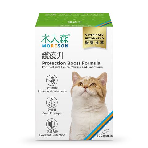 NSKU-貓-護疫升-小_1000x1000