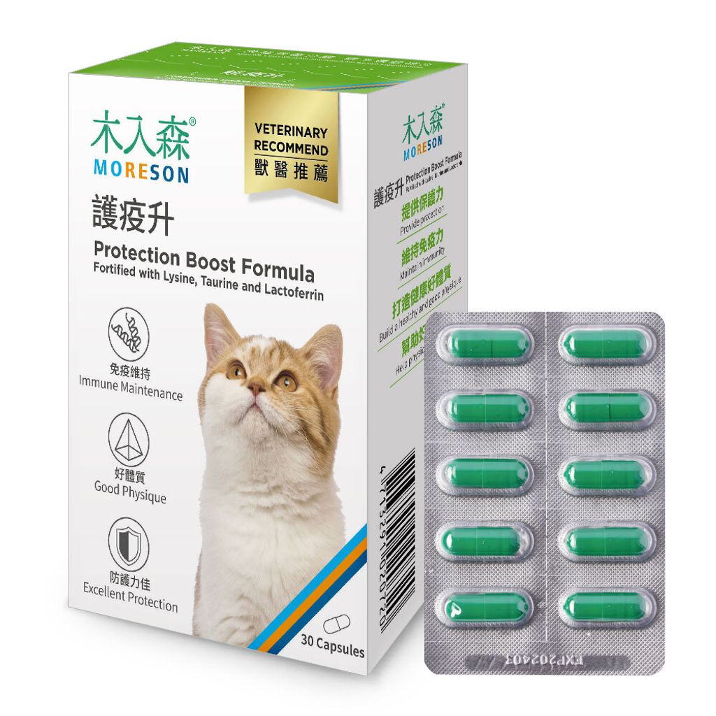 NSKU-貓-護疫升-小-右_1000x1000+內容