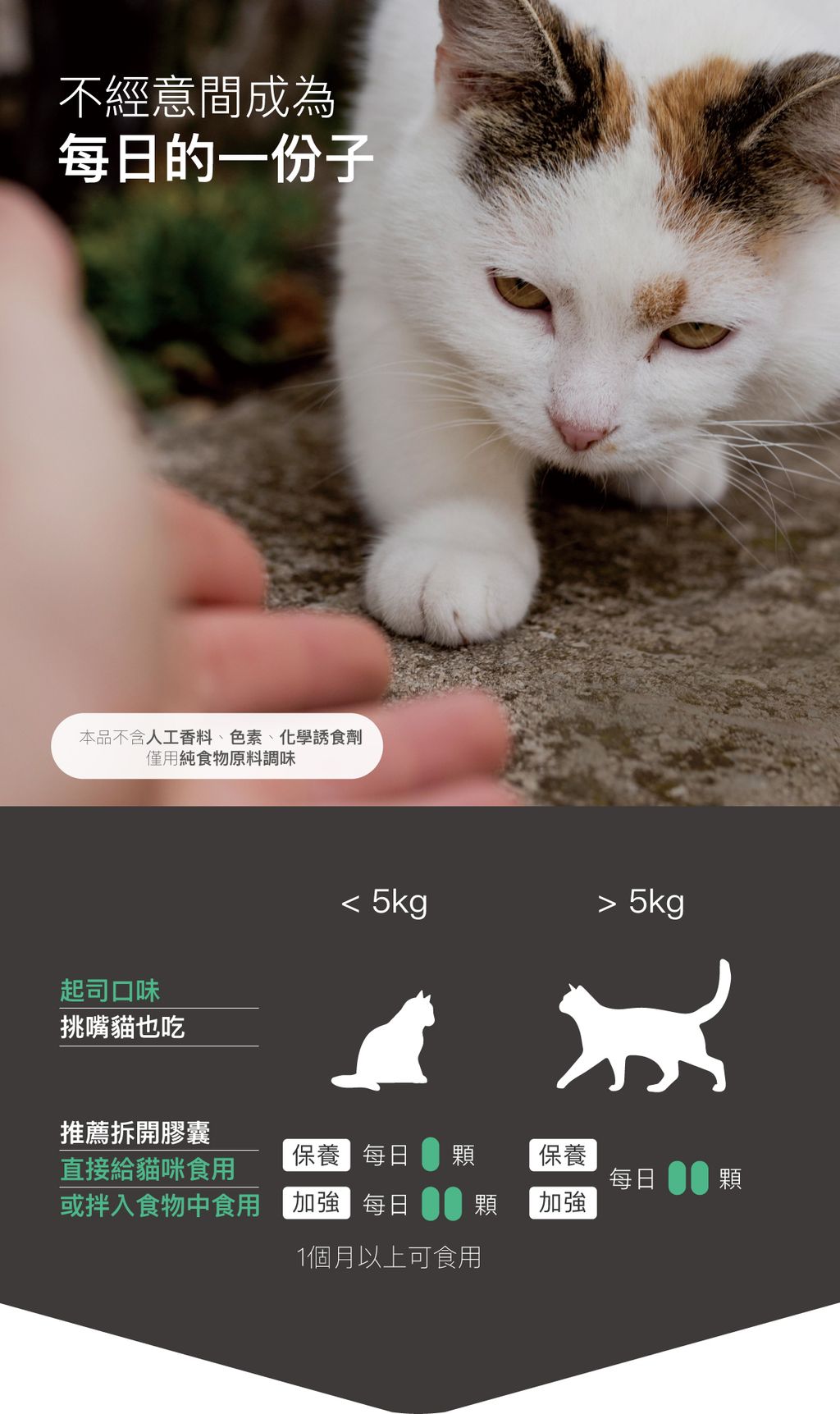 貓護疫升詳情頁_設計_13