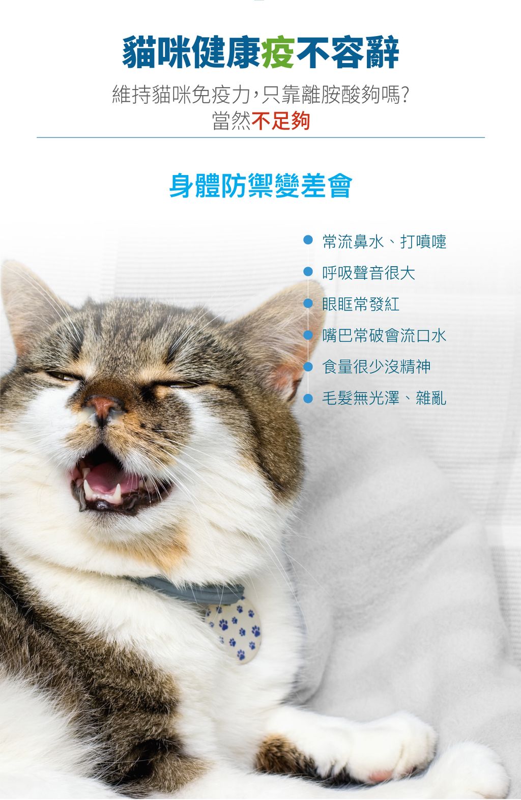 貓護疫升詳情頁_設計_2