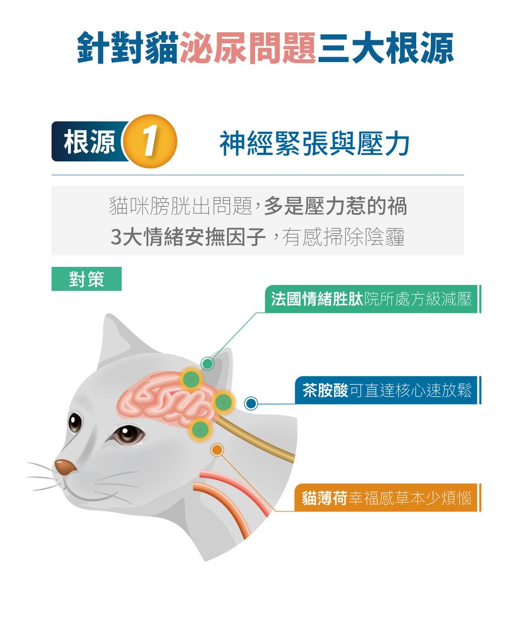 好規泌詳情頁_設計_5