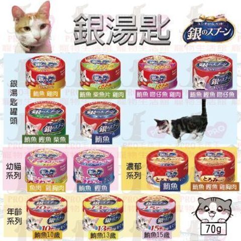 嬌聯銀湯匙罐