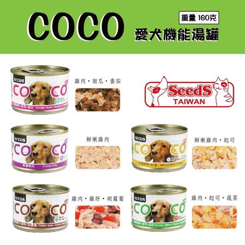 大COCO-狗-01 (1)