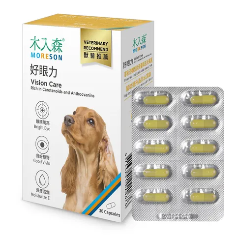NSKU-犬-好眼力-小-右_1000x1000+內容