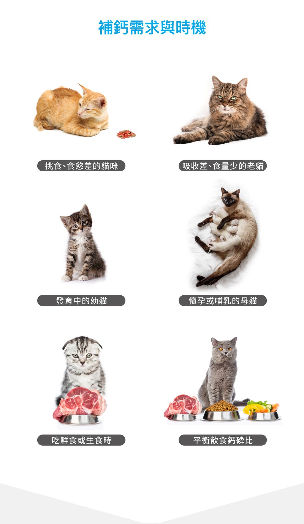 貓D藻鈣詳情頁_設計_3