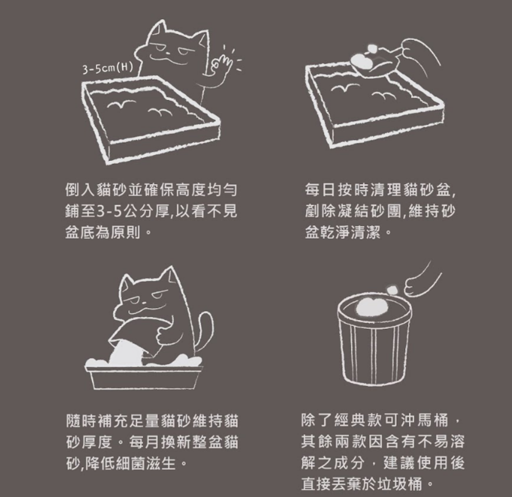 螢幕擷取畫面 2025-07-10 110843