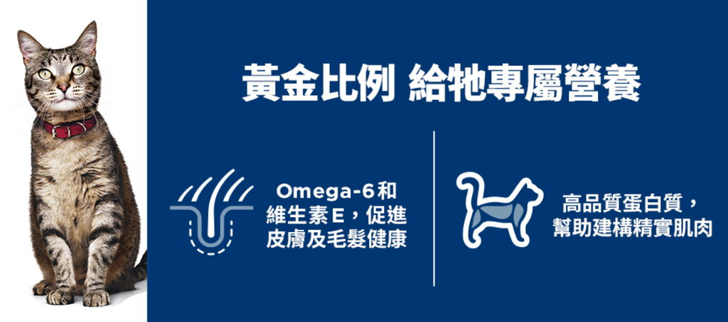 螢幕擷取畫面 2025-07-21 105752