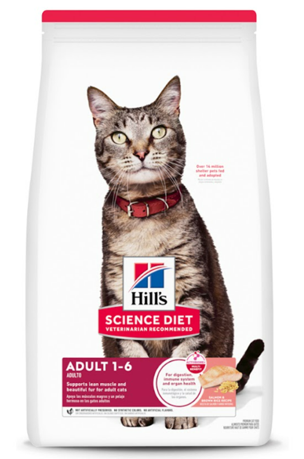 螢幕擷取畫面 2025-07-21 105839