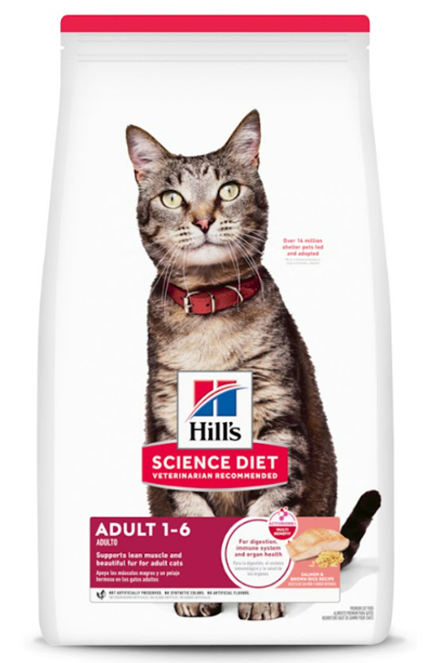 螢幕擷取畫面 2025-07-21 105839