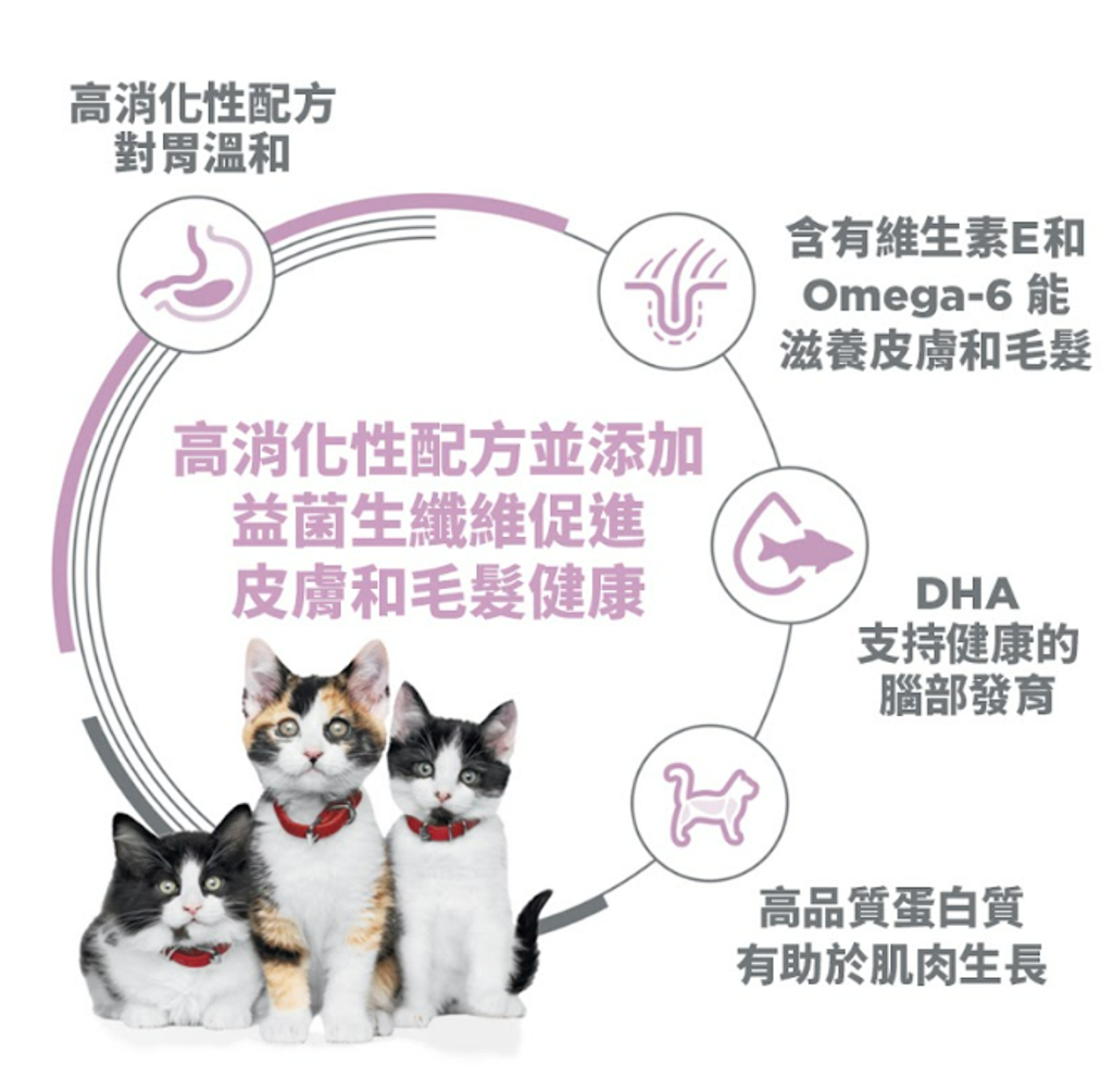 螢幕擷取畫面 2025-07-21 110627