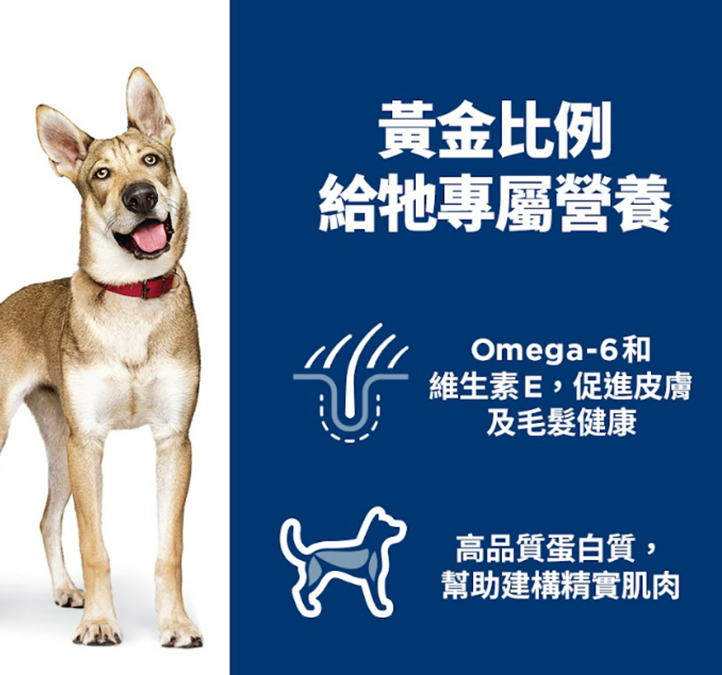 螢幕擷取畫面 2025-07-21 111258