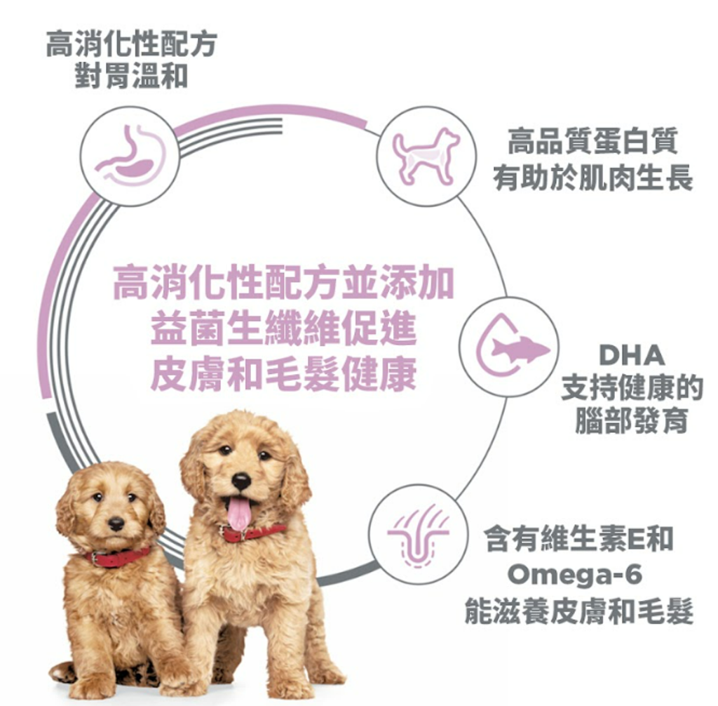 螢幕擷取畫面 2025-07-21 111729