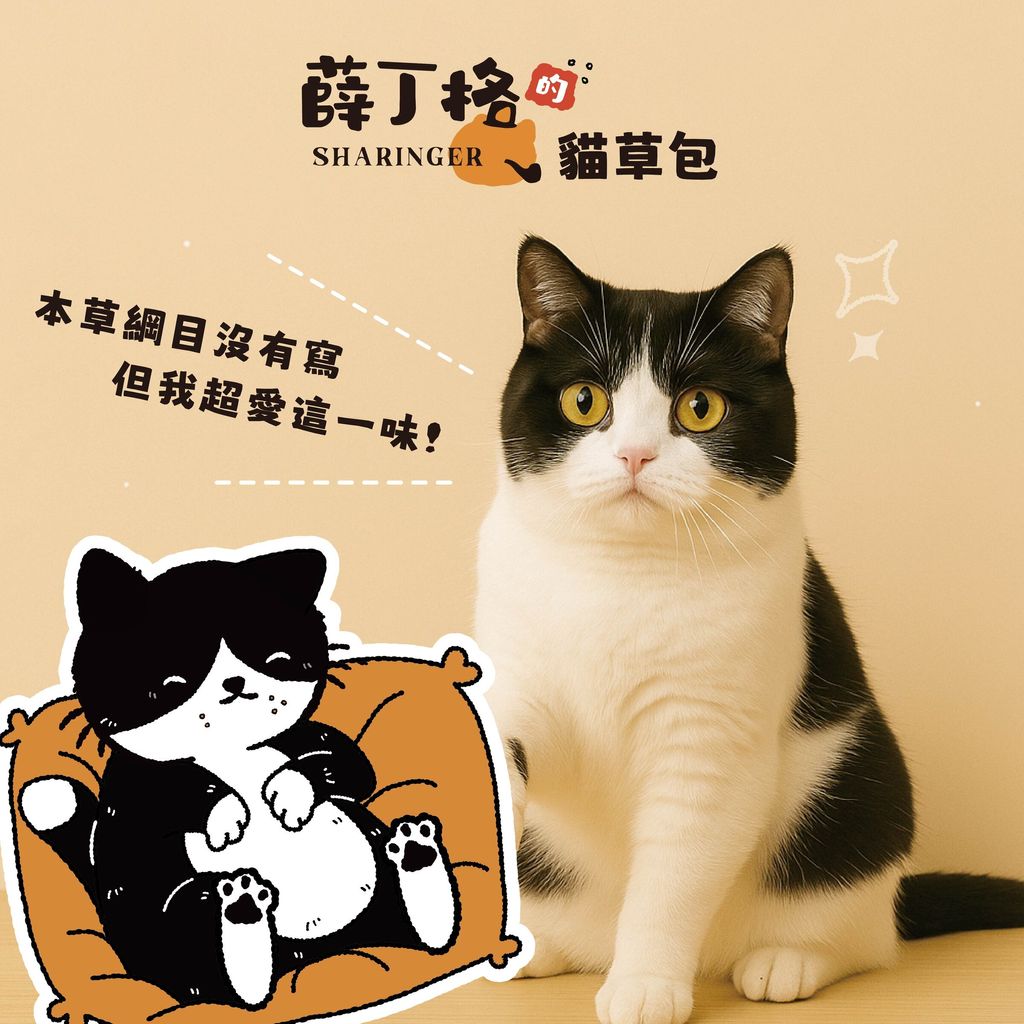 貓草包-01