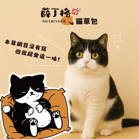 貓草包-01