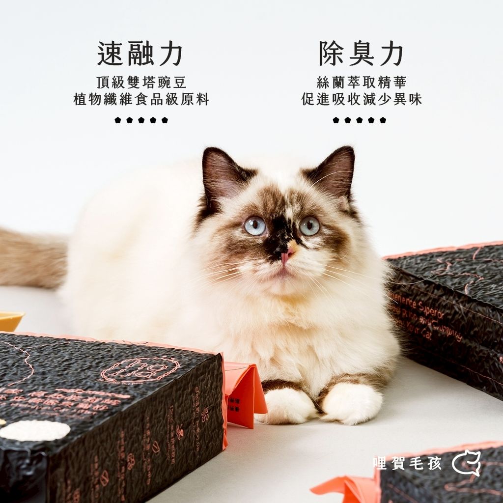 LINE_ALBUM_賀家 豆腐砂_251001_2