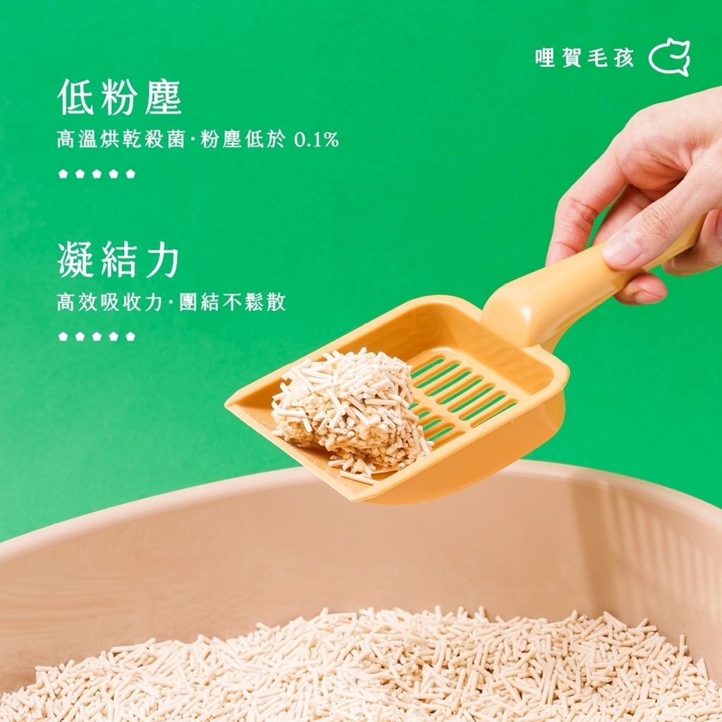 LINE_ALBUM_賀家 豆腐砂_251001_3