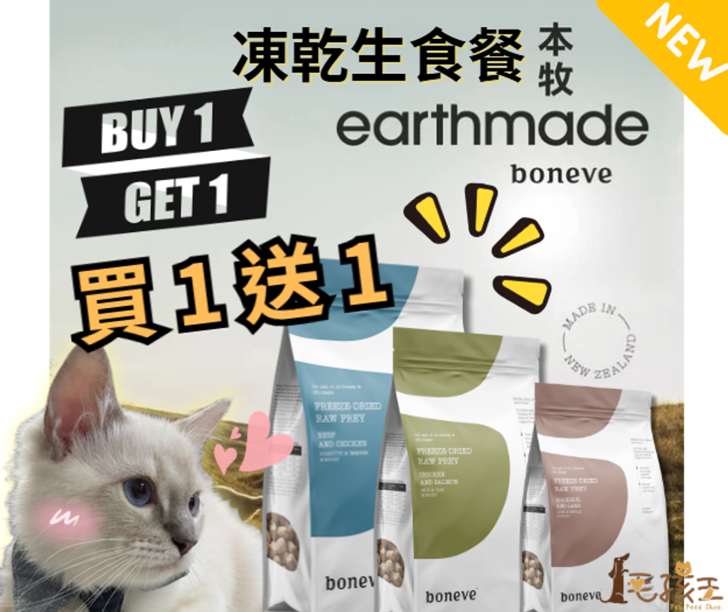 螢幕擷取畫面 2025-10-14 153135