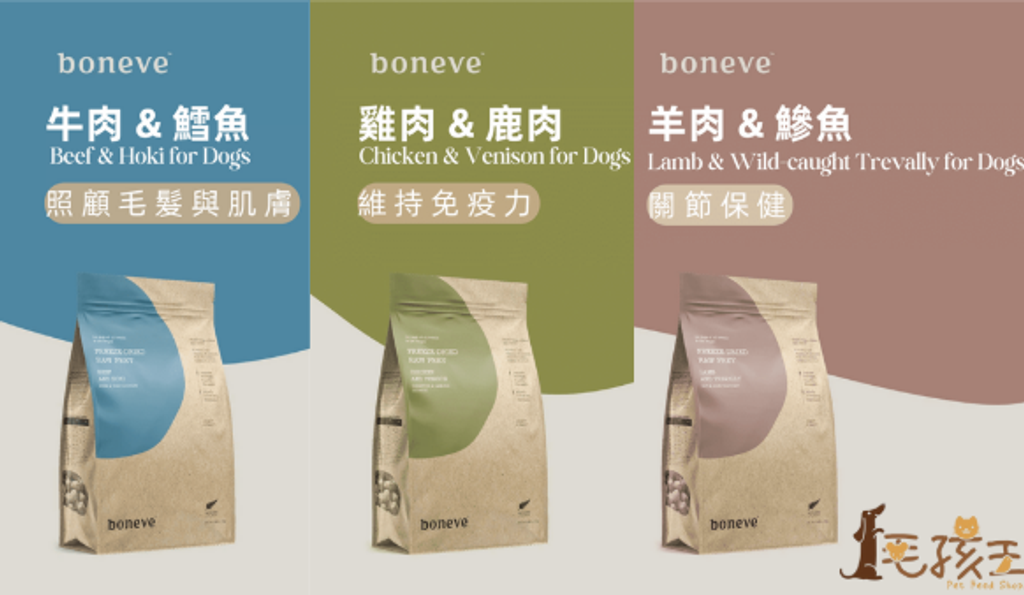 螢幕擷取畫面 2025-10-14 154132