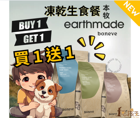 螢幕擷取畫面 2025-10-14 153830