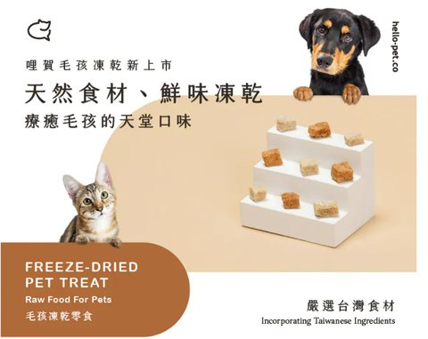 螢幕擷取畫面 2025-10-15 165710