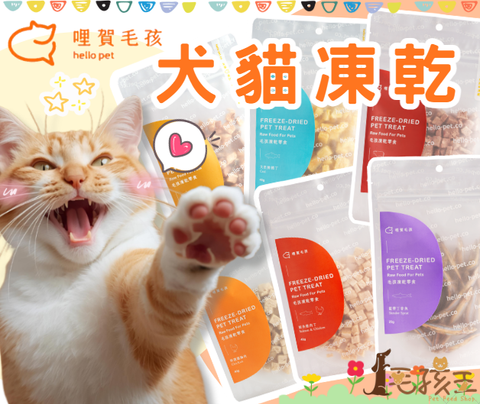 螢幕擷取畫面 2025-10-17 161739