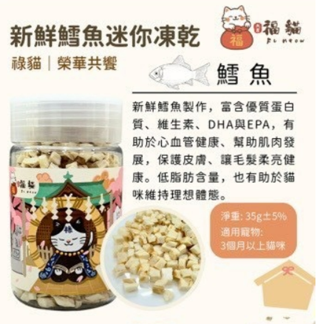 螢幕擷取畫面 2025-10-20 130539